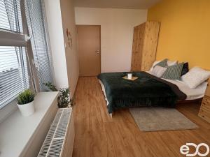 Pronájem bytu 3+kk, Hradec Králové, Rybova, 66 m2