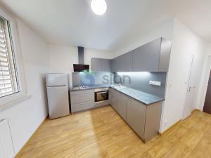 Pronájem bytu 1+1, Ostrava, Evžena Rošického, 36 m2