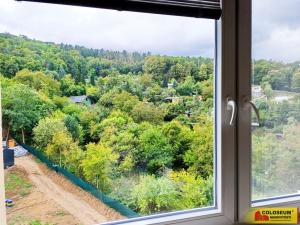 Pronájem bytu 1+kk, Brno - Jundrov, 33 m2