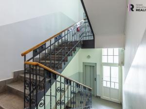 Pronájem bytu 2+1, Praha - Bubeneč, Jaselská, 60 m2