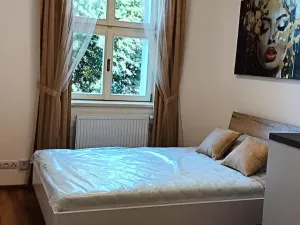 Pronájem bytu 1+kk, Praha - Dejvice, Studentská, 20 m2
