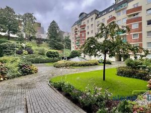 Pronájem bytu 4+kk, Praha - Žižkov, Pod Parukářkou, 100 m2