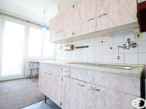 Pronájem bytu 1+1, České Budějovice, K. Šafáře, 46 m2