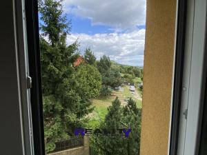 Prodej bytu 2+1, Tisá, 74 m2