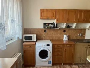 Prodej rodinného domu, Trmice, U Mlýnského potoka, 400 m2