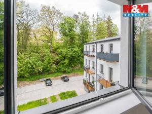 Pronájem bytu 3+kk, Cheb, Břehnická, 90 m2