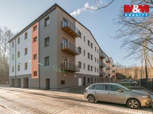 Pronájem bytu 3+kk, Cheb, Břehnická, 90 m2