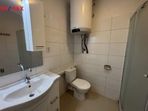 Pronájem bytu 1+1, Brno - Žabovřesky, Horská, 54 m2