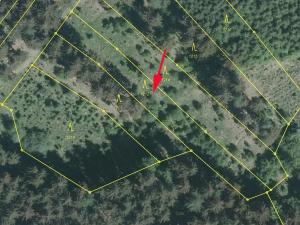 Prodej podílu lesa, Nedašov, 386 m2