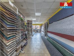 Prodej obchodního prostoru, Tanvald - Šumburk nad Desnou, Krkonošská, 1500 m2