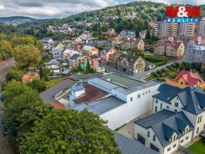 Prodej obchodního prostoru, Tanvald - Šumburk nad Desnou, Krkonošská, 1500 m2