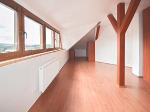 Prodej rodinného domu, Plzeň - Černice, Pod Bručnou, 340 m2