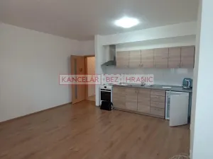 Pronájem bytu 1+kk, Vsetín, Rokytnice, 43 m2