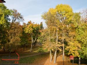 Prodej bytu 3+1, Litvínov - Horní Litvínov, U Zámeckého parku, 59 m2