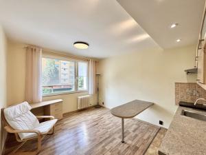 Pronájem bytu 1+kk, Liberec - Liberec III-Jeřáb, Oldřichova, 20 m2