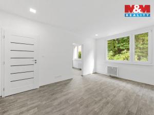 Prodej bytu 3+1, Ústí nad Labem - Střekov, Tolstého, 63 m2