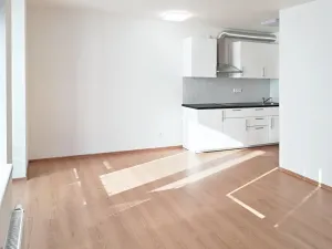 Pronájem bytu 1+kk, Praha - Hostivař, Rychtáře Petříka, 44 m2