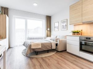 Pronájem bytu 1+kk, Brno - Brno-město, Spolková, 27 m2