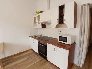 Pronájem bytu 2+kk, Praha - Libeň, Sokolovská, 47 m2