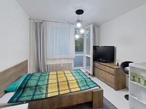Pronájem bytu 1+kk, Jihlava, Telečská, 27 m2