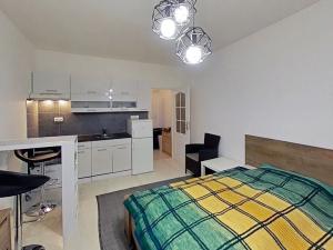 Pronájem bytu 1+kk, Jihlava, Telečská, 27 m2