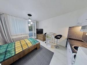 Pronájem bytu 1+kk, Jihlava, Telečská, 27 m2