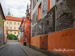 Prodej činžovního domu, Litomyšl - Litomyšl-Město, Smetanovo náměstí, 825 m2