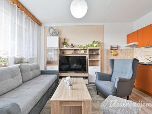Pronájem bytu 2+kk, Brno, Švermova, 48 m2