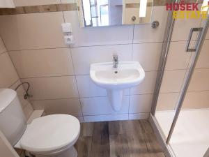 Pronájem bytu 1+kk, Brno, Zlínská, 30 m2