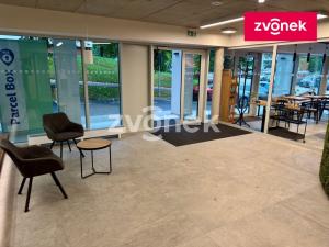 Pronájem bytu 2+kk, Zlín, Nad Stráněmi, 53 m2