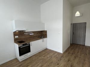 Prodej bytu 1+kk, Ostrava - Přívoz, Palackého, 21 m2