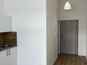 Prodej bytu 1+kk, Ostrava - Přívoz, Palackého, 21 m2