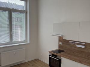 Prodej bytu 1+kk, Ostrava - Přívoz, Palackého, 21 m2