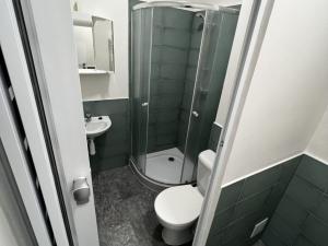 Prodej bytu 1+kk, Ostrava - Přívoz, Palackého, 21 m2