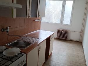 Pronájem bytu 2+1, Duchcov, V Domkách, 61 m2