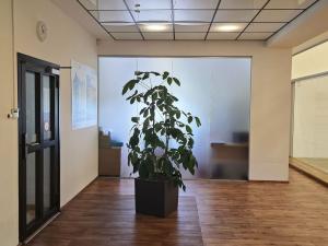 Pronájem kanceláře, Plzeň, Radčická, 275 m2