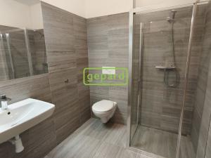 Pronájem bytu 2+kk, Brno, Tišnovská, 52 m2