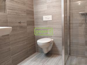 Pronájem bytu 2+kk, Brno, Tišnovská, 52 m2