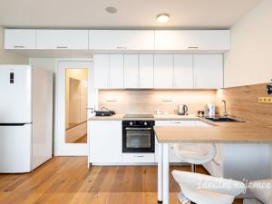 Pronájem bytu 1+kk, Praha - Vinohrady, Perucká, 26 m2