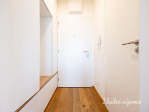 Pronájem bytu 1+kk, Praha - Vinohrady, Perucká, 26 m2