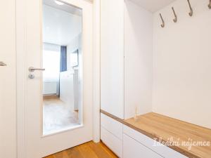 Pronájem bytu 1+kk, Praha - Vinohrady, Perucká, 26 m2