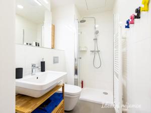 Pronájem bytu 1+kk, Praha - Vinohrady, Perucká, 26 m2