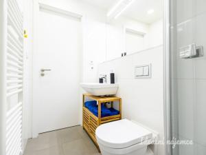 Pronájem bytu 1+kk, Praha - Vinohrady, Perucká, 26 m2