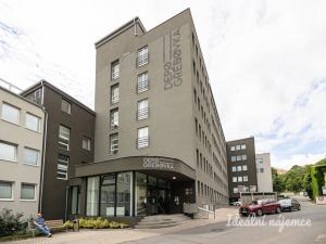 Pronájem bytu 1+kk, Praha - Vinohrady, Perucká, 26 m2