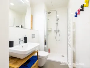 Pronájem bytu 1+kk, Praha - Vinohrady, Perucká, 26 m2