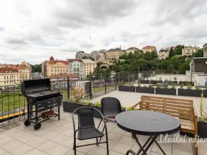 Pronájem bytu 1+kk, Praha - Vinohrady, Perucká, 26 m2