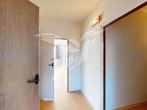 Pronájem bytu 2+1, Planá, Bohušova, 47 m2