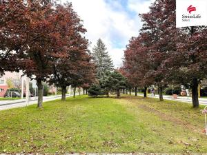 Prodej bytu 2+1, Jihlava, Vrchlického, 51 m2