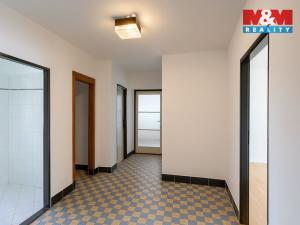 Prodej rodinného domu, Veselí nad Lužnicí - Veselí nad Lužnicí I, Na Strážkách, 250 m2