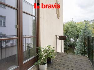 Pronájem kanceláře, Brno - Veveří, Jaselská, 165 m2